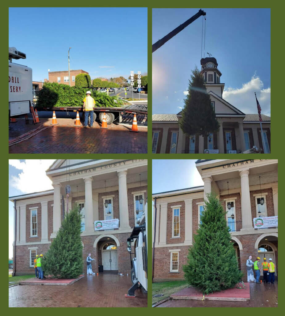 Arrival of the Holly Days tree in downtown Pittsboro.