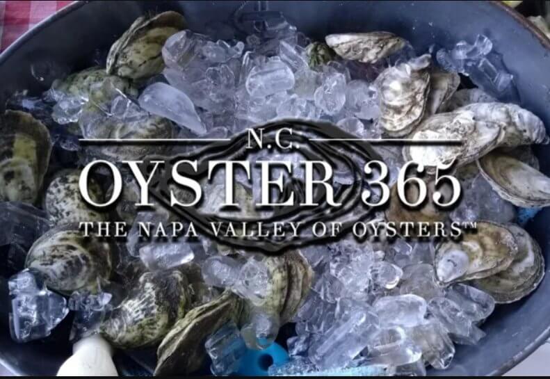 Oysters 365 at the BMC