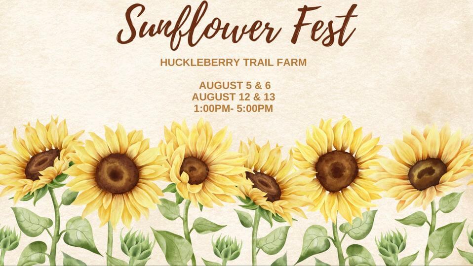 Sunflower Fest Huckleberry Trail Farm